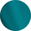 color icon