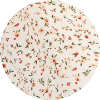 color icon
