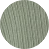 color icon