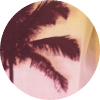 color icon