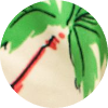 color icon