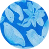 color icon