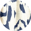 color icon