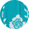 color icon