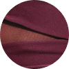 color icon
