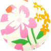 color icon