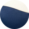 color icon
