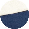 color icon