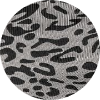 color icon