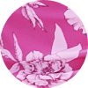 color icon