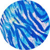 color icon