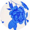 color icon