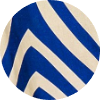 color icon