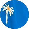 color icon