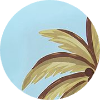 color icon