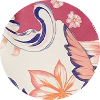 color icon