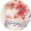 color icon