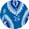 color icon