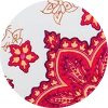 color icon