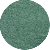 color icon