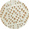 color icon
