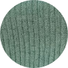 color icon