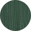 color icon