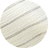 color icon