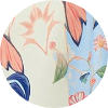 color icon