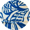 color icon