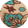 color icon
