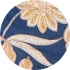color icon