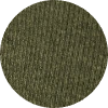 color icon