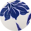 color icon