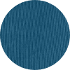 color icon