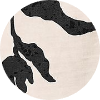 color icon
