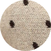 color icon