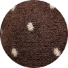 color icon