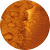 color icon