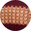 color icon