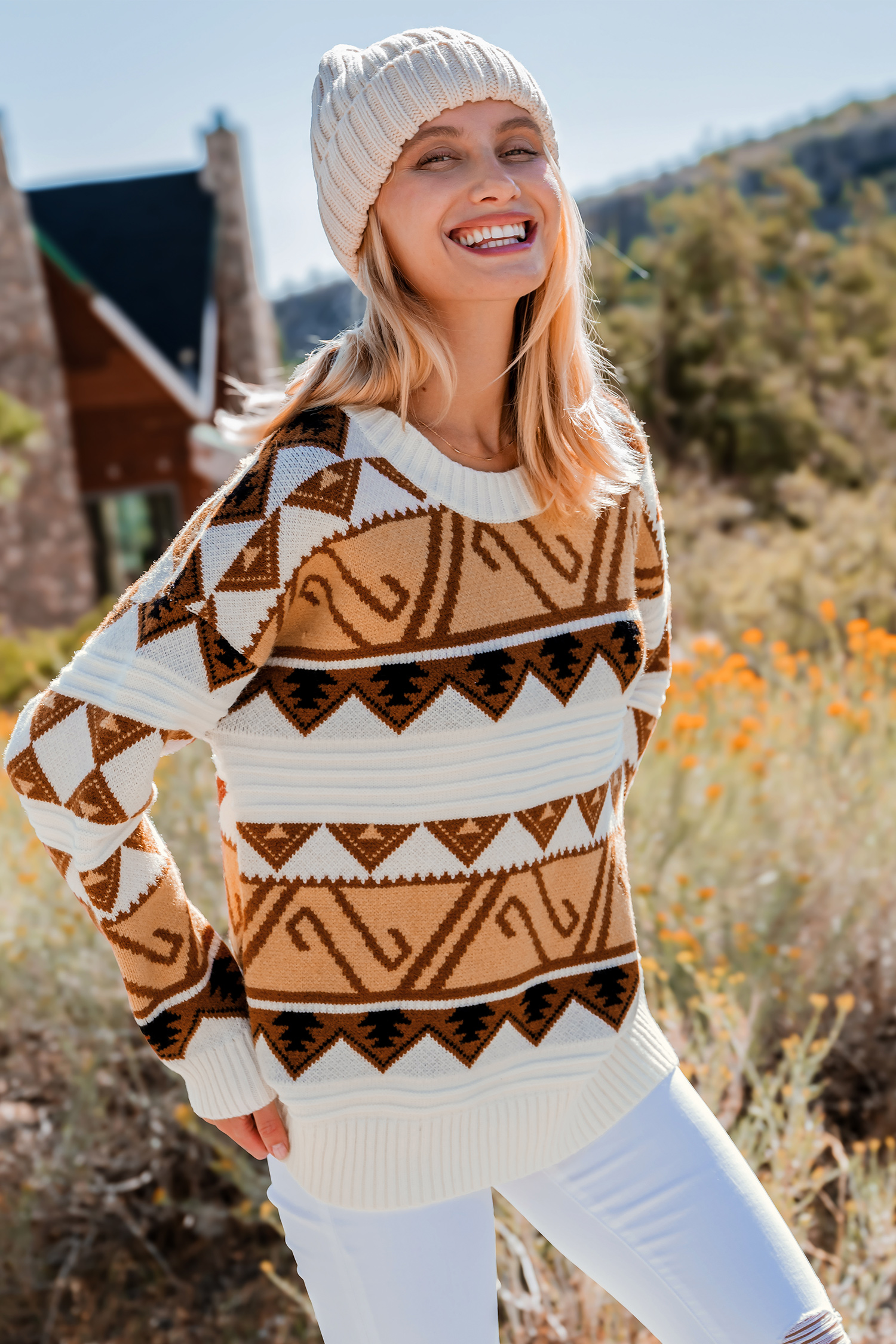 Maglione a maniche lunghe con scollo rotondo Geo marrone