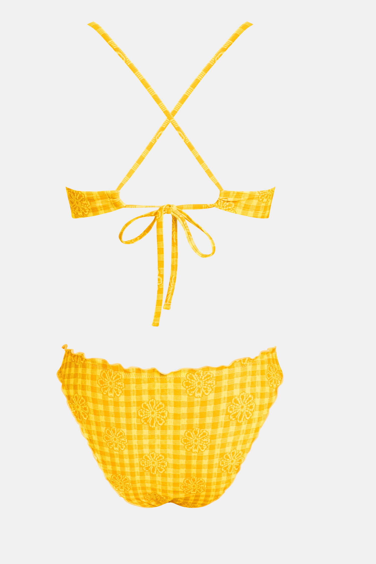 Dolphin Watch Gingham Bikini Set