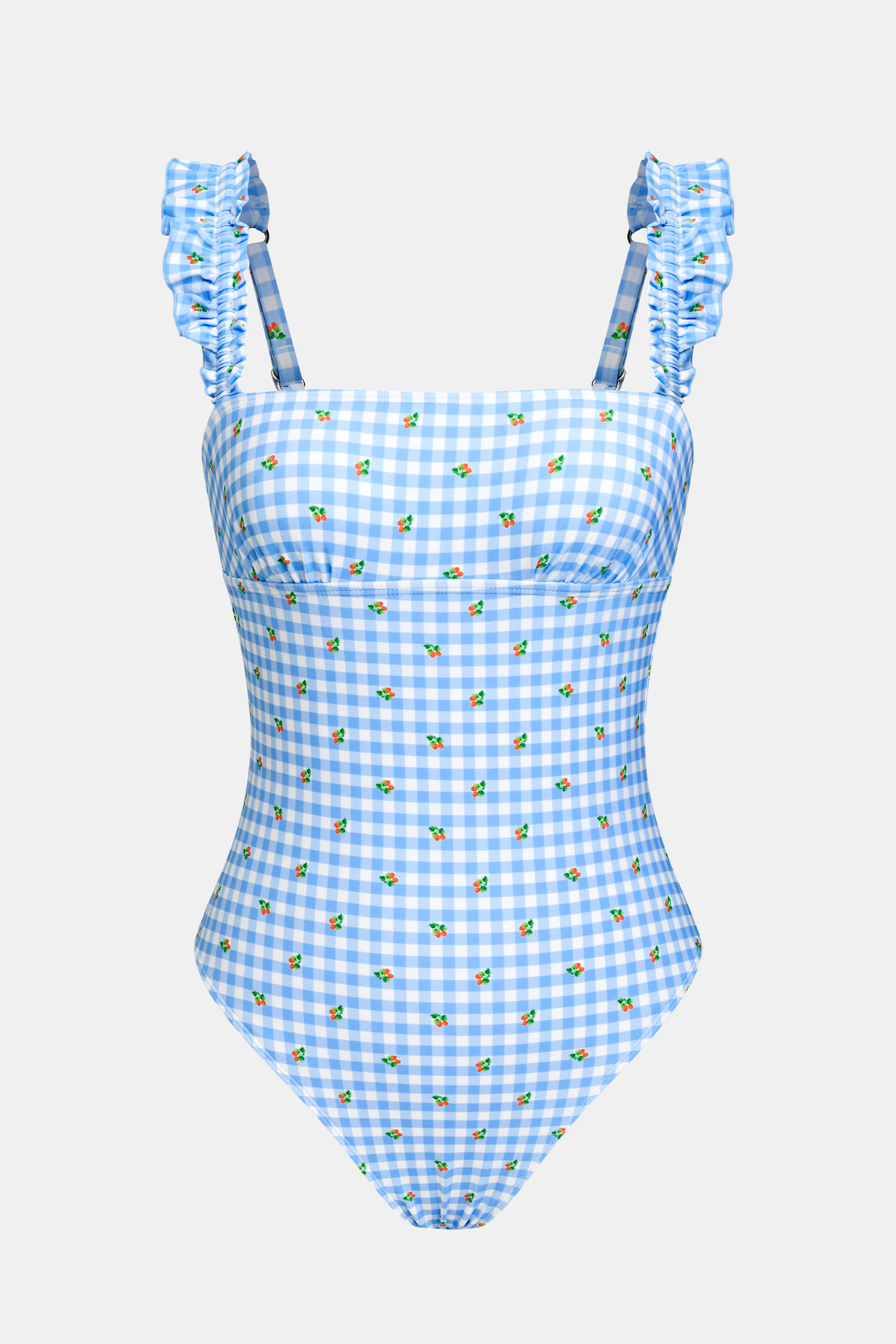 In the Sun Gingham One-Piece Swimsuit