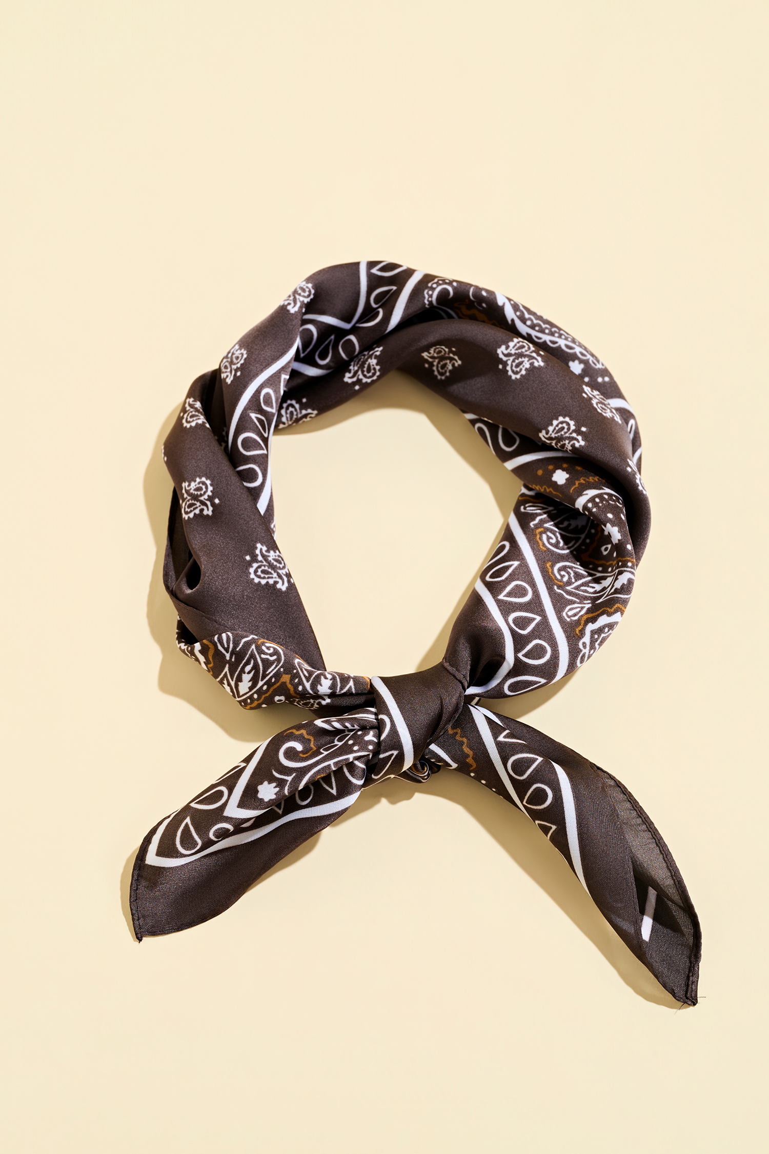 All Access Paisley Scarf