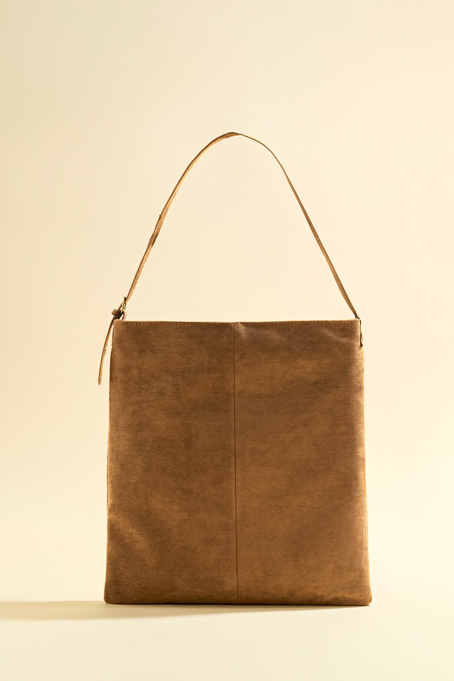 Big Picture Brown Bag
