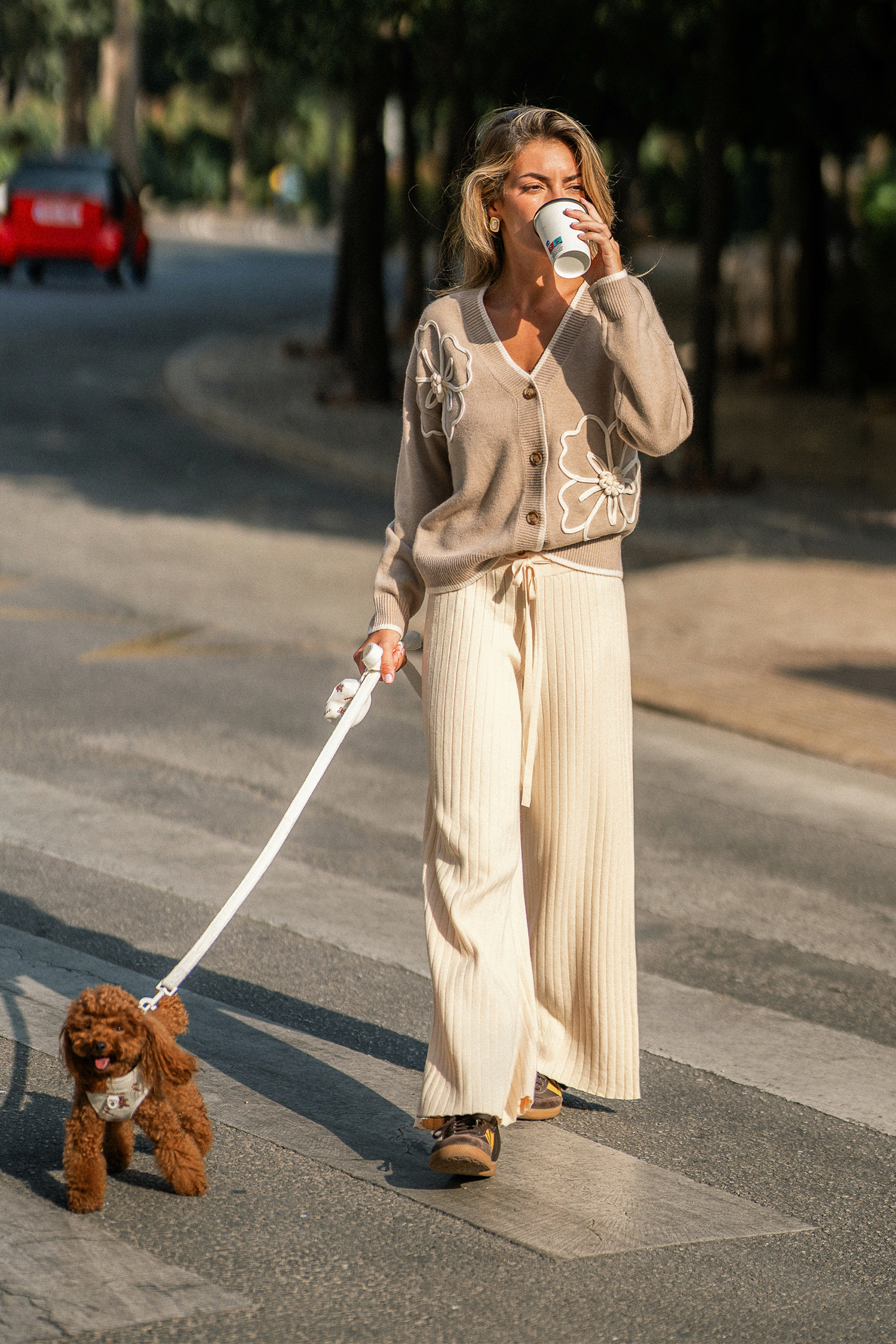 Evening Stillness Beige Pants