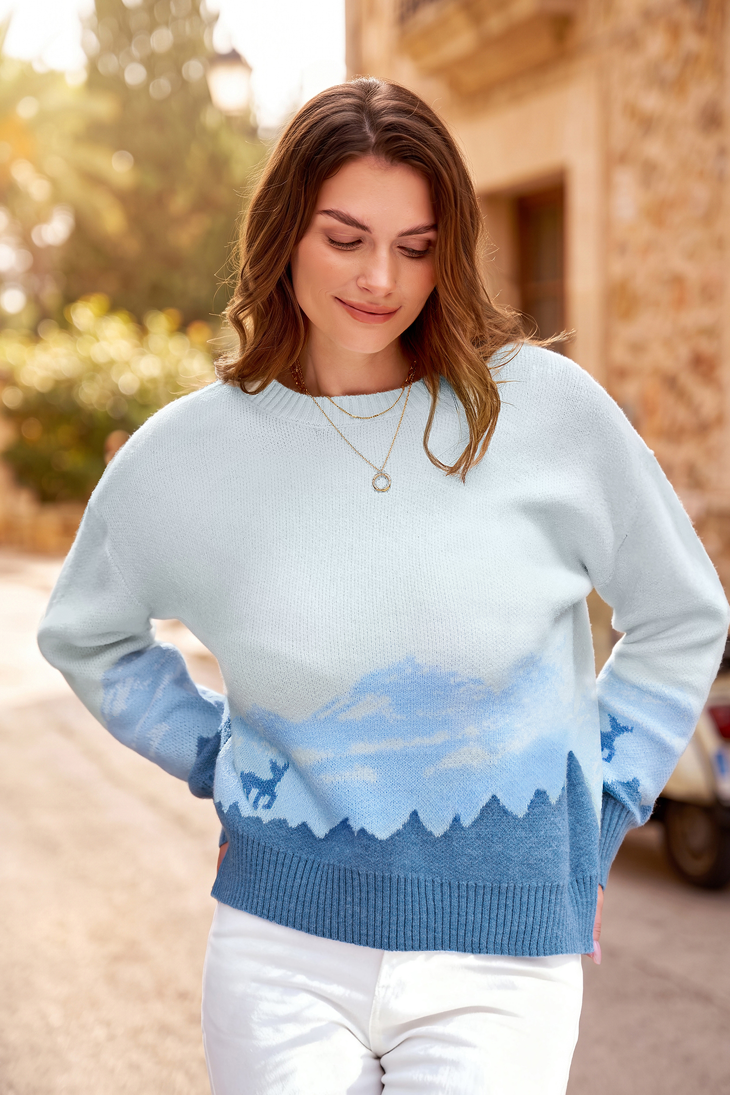 Pull d'hiver col rond manches longues