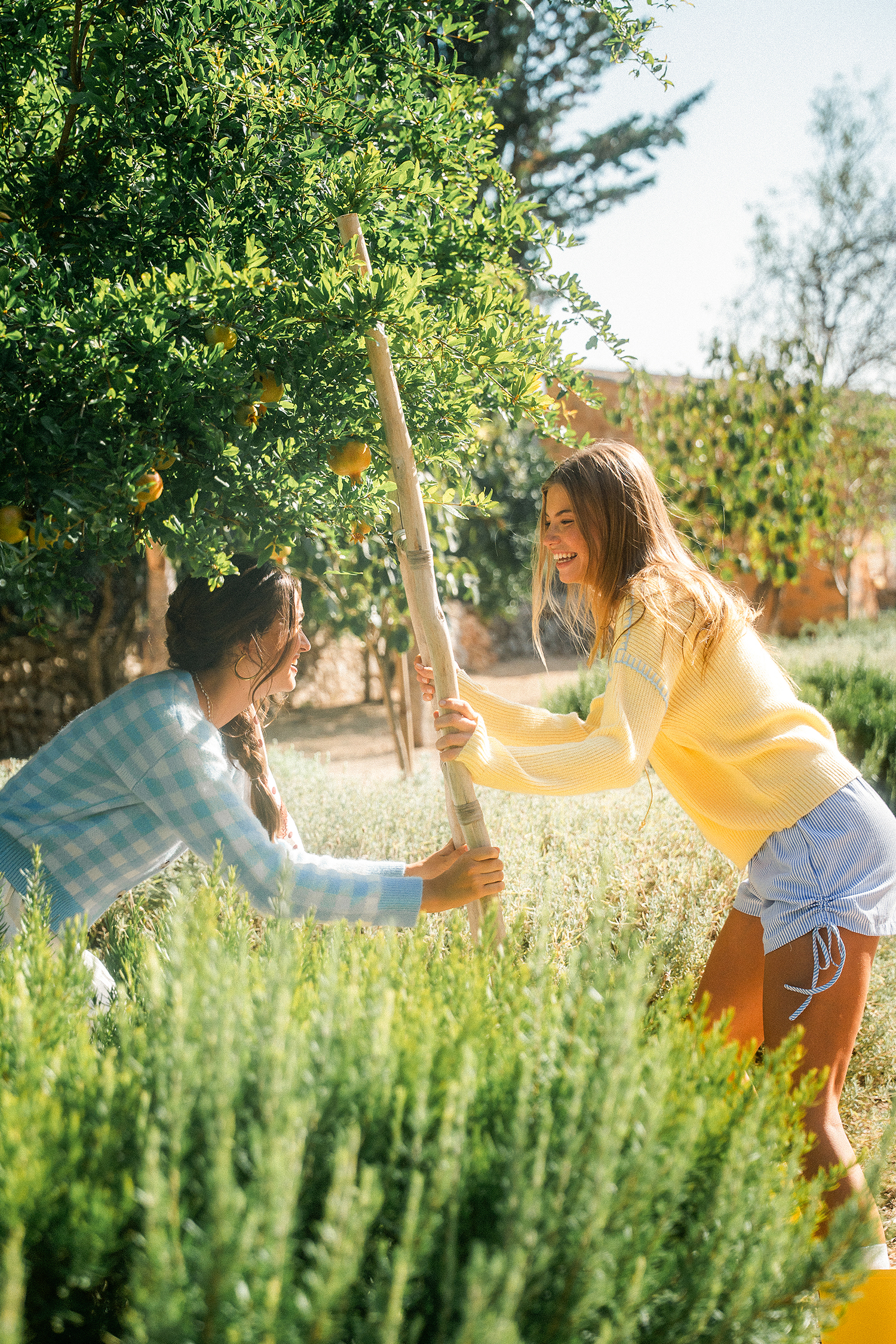 Maglione giallo campo di girasoli